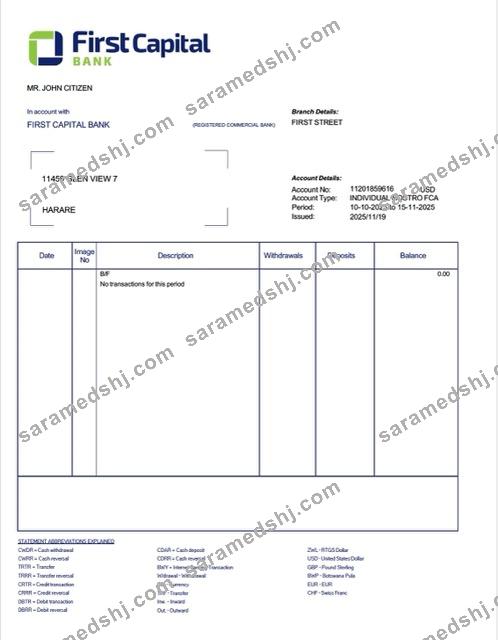 Zambia First Capital Bank account statement Word and PDF template